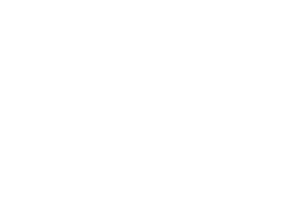 Discord Nitro Classic Logo