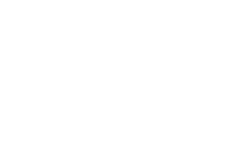 Discord Nitro Logo