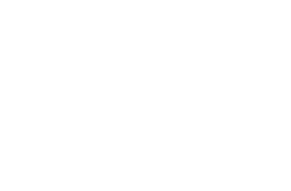 Visa Prepaid Reward